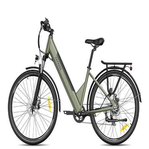 Elektrofahrrad FAFREES F28 Pro - 250W Motor 522WH Batterie 60KM Reichweite - Grün