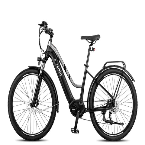 Elektrofahrrad FAFREES FM8 - 250W Motor 522WH Akku 110KM Reichweite - Schwarz