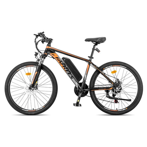 Elektrofahrrad FAFREES Hailong One - 250W Motor 468WH Akku 50KM Reichweite - Schwarz