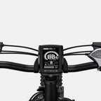 ENGWE C20 PRO EU Electric Bicycle - 250W Motor 561.6WH Battery 40KM Range - Blue