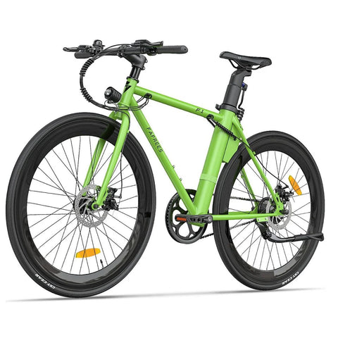 FAFREES F1 E-Bike - 250W 313.2WH 40KM Reichweite - Grün
