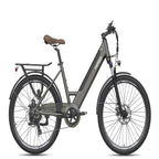 Vélo électrique pliant FAFREES F26 Pro | 250W 360WH 40KM d'autonomie | Gris