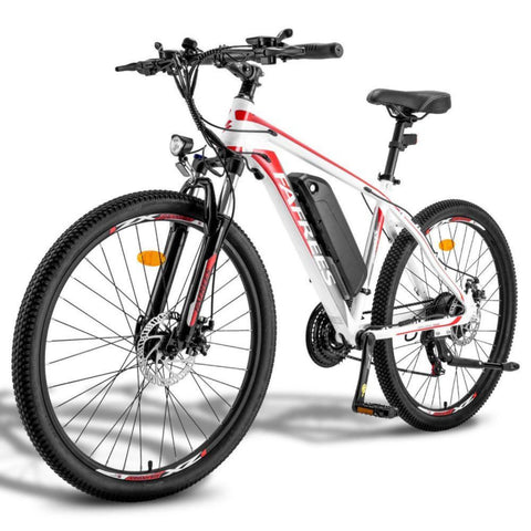 Elektrofahrrad FAFREES Hailong One - 250W Motor 360WH Akku 40KM Reichweite - Weiß
