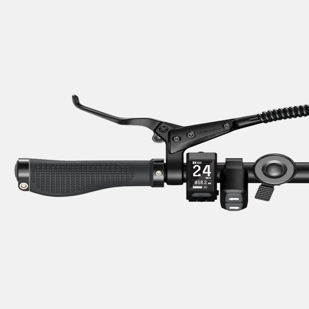 ENGWE P20 Electric Bicycle - 20 Inch Tires 250W Motor 36V9.6Ah Battery 100KM Range - Black