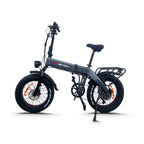 DrveTion BT20 Elektrofahrrad - 750W Motor 48V10Ah Batterie 25-35KM Reichweite Schwarz-Grau