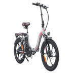 Vélo électrique FAFREES F20 Pro | Moteur 250W Batterie 648Wh Autonomie 80KM | Gris