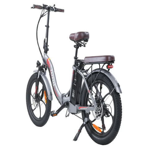 Elektrisches Fahrrad FAFREES F20 Pro | 250W Motor 648WH Batterie 80KM Reichweite | Grau