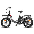 FAFREES F20 X-MAX Electric Bike - 750W Motor 48V30AH Battery 180KM Range - Grey
