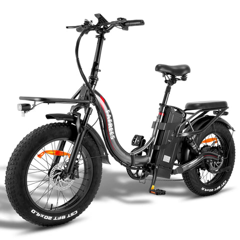 FAFREES F20 X-MAX Elektrisches Bike - 750W Motor 48V30AH Batterie 180KM Reichweite - Grau
