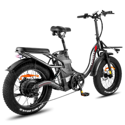 FAFREES F20 X-MAX Elektrisches Bike - 750W Motor 48V30AH Batterie 180KM Reichweite - Grau
