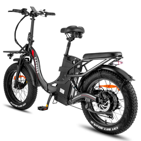 FAFREES F20 X-MAX Elektrisches Bike - 750W Motor 48V30AH Batterie 180KM Reichweite - Grau
