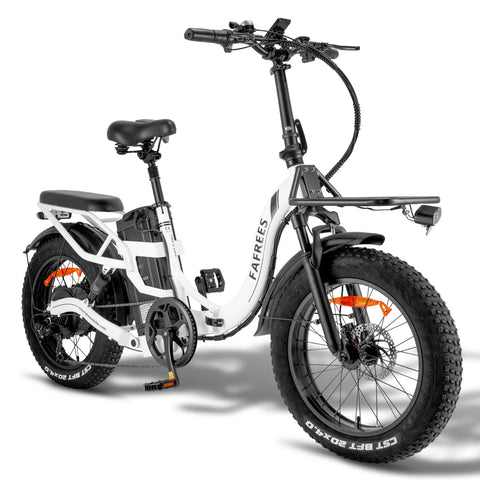 FAFREES F20 X-MAX Elektrisches Bike - 750W Motor 48V30AH Batterie 180KM Reichweite - Weiß