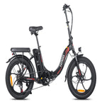 Vélo électrique FAFREES F20 - Moteur 250W Batterie 576WH Autonomie 70KM - Noir