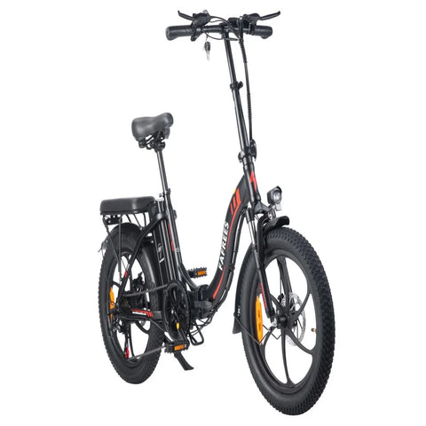 Elektrisches Fahrrad FAFREES F20 - 250W Motor 576WH Batterie 70KM Reichweite - Schwarz