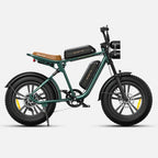 ENGWE M20 26AH Vélo électrique | Moteur 750W Double Batterie 1248WH Autonomie 120KM | Vert