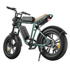 ENGWE M20 26AH Vélo électrique | Moteur 750W Double Batterie 1248WH Autonomie 120KM | Vert