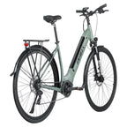 Vélo électrique FAFREES FM9 - 250W Batterie 540Wh Autonomie 110KM - Vert