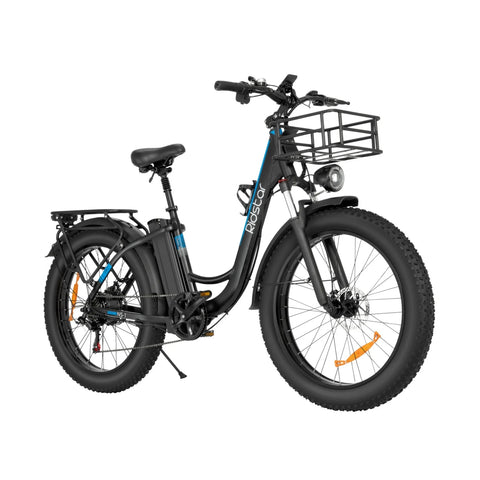 Ridstar MN26 Elektrofahrrad - 750W Motor 48V20Ah Batterie 26“ Reifen Mechanische Scheibenbremsen - Schwarz