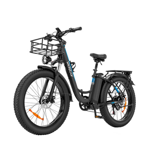 Ridstar MN26 Elektrofahrrad - 750W Motor 48V20Ah Batterie 26“ Reifen Mechanische Scheibenbremsen - Schwarz