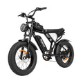 Vélo électrique Ridstar Q20 - Moteur 500W Batterie 48V15Ah Pneus 20" Freins à disque mécaniques - Noir