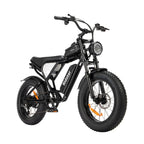 Vélo électrique Ridstar Q20 - Moteur 500W Batterie 48V15Ah Pneus 20" Freins à disque mécaniques - Noir