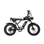 Vélo électrique Ridstar Q20 - Moteur 500W Batterie 48V15Ah Pneus 20" Freins à disque mécaniques - Noir