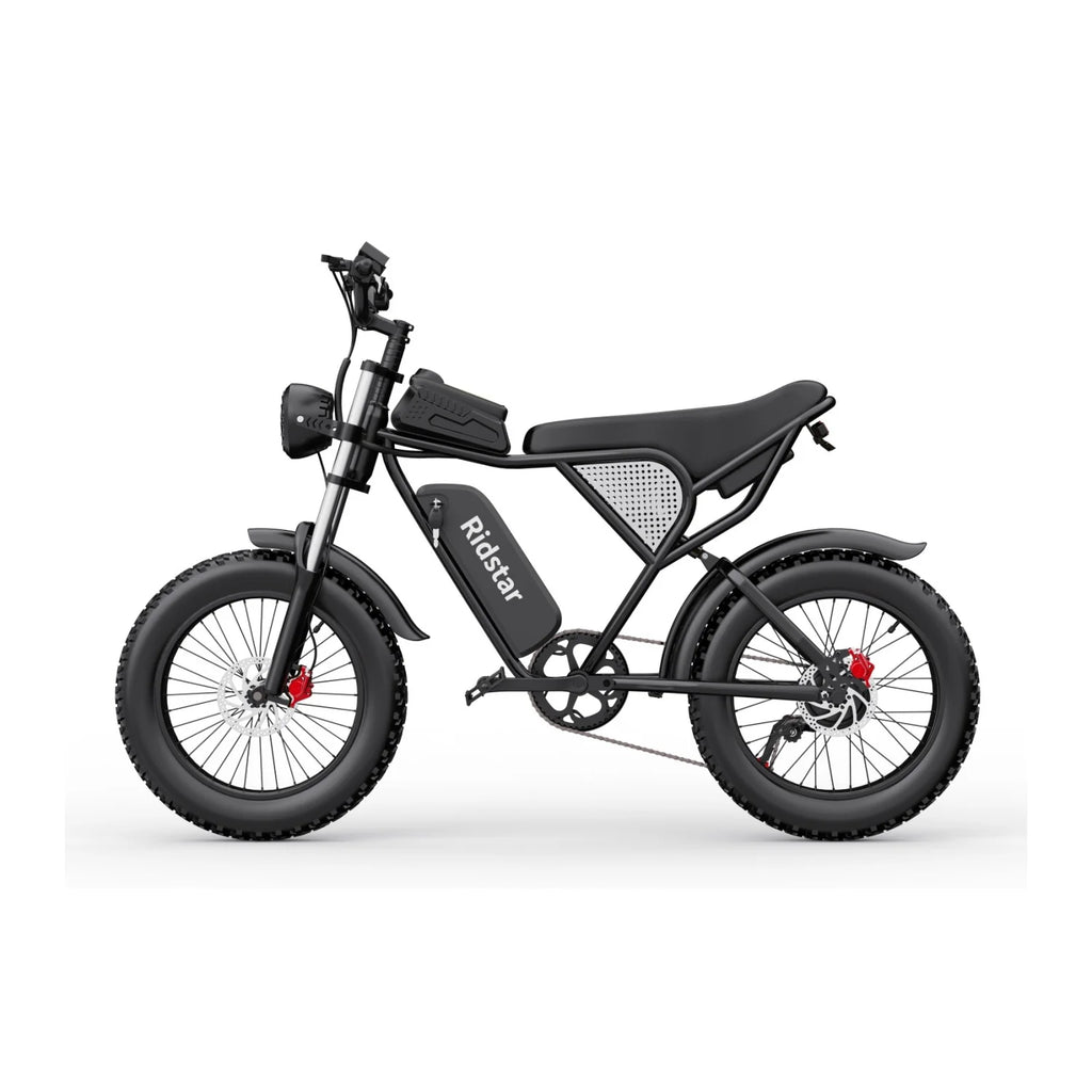 Ridstar Q20 Electric Bicycle - 750W Motor 48V20Ah Battery 20" Tires Hydraulic Disc Brakes - Black