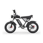 Ridstar Q20 Electric Bicycle - 750W Motor 48V20Ah Battery 20" Tires Hydraulic Disc Brakes - Black