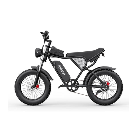 Ridstar Q20 Elektrofahrrad - 750W Motor 48V20Ah Batterie 20“ Reifen Hydraulische Scheibenbremsen - Schwarz