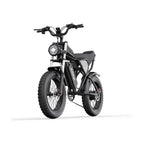Ridstar Q20 Electric Bicycle - 750W Motor 48V20Ah Battery 20" Tires Hydraulic Disc Brakes - Black