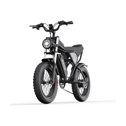 Ridstar Q20 Elektrofahrrad - 750W Motor 48V20Ah Batterie 20“ Reifen Hydraulische Scheibenbremsen - Schwarz