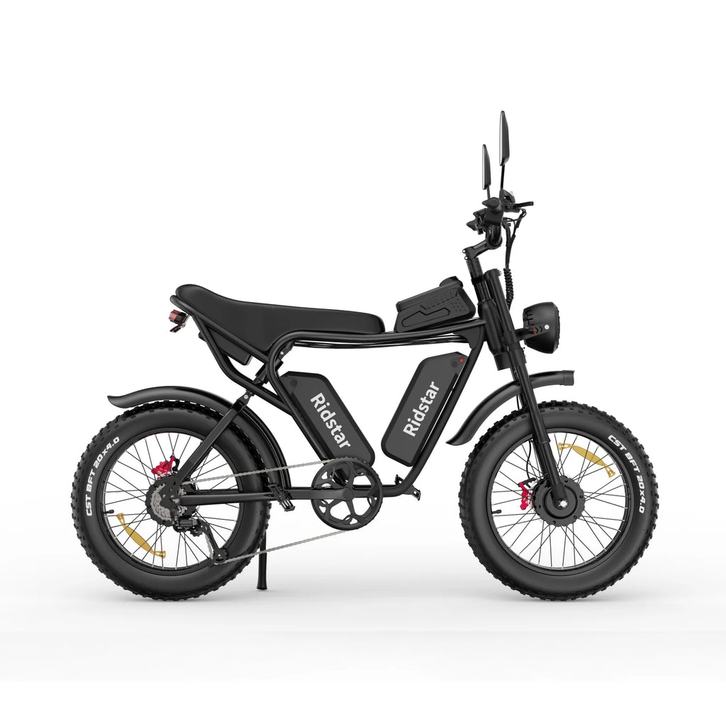 Vélo électrique Ridstar Q20 - Double moteur 750W*2 Double batterie 48V20Ah*2 Pneus 20" Freins à disque hydrauliques - Noir