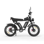 Vélo électrique Ridstar Q20 - Double moteur 750W*2 Double batterie 48V20Ah*2 Pneus 20" Freins à disque hydrauliques - Noir