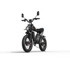 Vélo électrique Ridstar Q20 - Double moteur 750W*2 Double batterie 48V20Ah*2 Pneus 20" Freins à disque hydrauliques - Noir