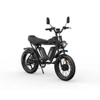 Vélo électrique Ridstar Q20 - Double moteur 750W*2 Double batterie 48V20Ah*2 Pneus 20" Freins à disque hydrauliques - Noir