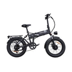 Vélo électrique Ridstar H20 Pro - Deux moteurs de 500 W, batterie 48 V 23 Ah, pneus de 20 pouces, freins à disque hydrauliques - Noir