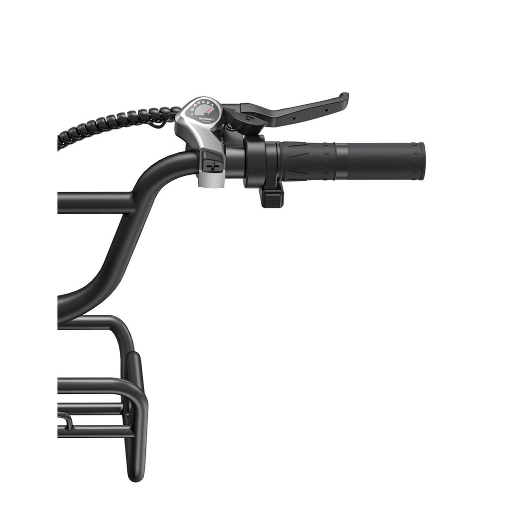 Vélo électrique ENGWE L20 Boost - Moteur 250W Batterie 48V13Ah Pneus 20 pouces Freins à disque mécaniques - Vert