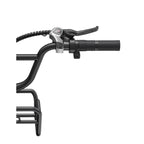 Vélo électrique ENGWE L20 Boost - Moteur 250W Batterie 48V13Ah Pneus 20 pouces Freins à disque mécaniques - Vert