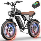 Ridstar Q20 IT E-Bike - Moteur 750W Batterie 48V20AH Pneus 20 pouces Freins à disque hydrauliques - Noir Marron