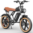 Ridstar Q20 IT E-Bike - Moteur 750W Batterie 48V20AH Pneus 20 pouces Freins à disque hydrauliques - Noir Marron
