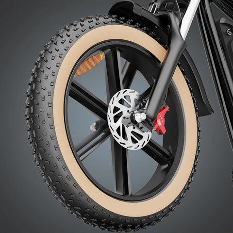 Ridstar Q20 IT E-Bike - 750W Motor 48V20AH Akku 20-Zoll-Reifen Hydraulischen Scheibenbremsen - Schwarz Braun