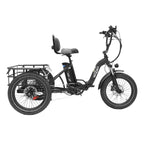 ONESPORT OT30 Three-Wheeled Electric Bicycle - 500W Motor 48V13AH Battery 20 Inch Tires Hydraulic Brake - Black