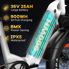 TTGO F6 E-Bike - Moteur 250W Batterie 36V25AH Pneus 20 Pouces Freins Hydrauliques - Blanc
