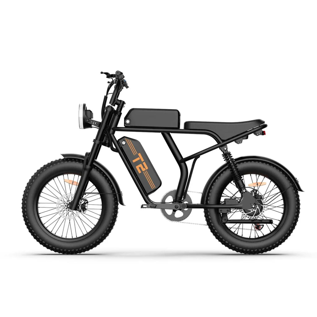 Vélo électrique URLIFE T2 - Moteur 250W Batterie 48V 15.6Ah avec Frein à Disque Assistance au Pédalage - Noir