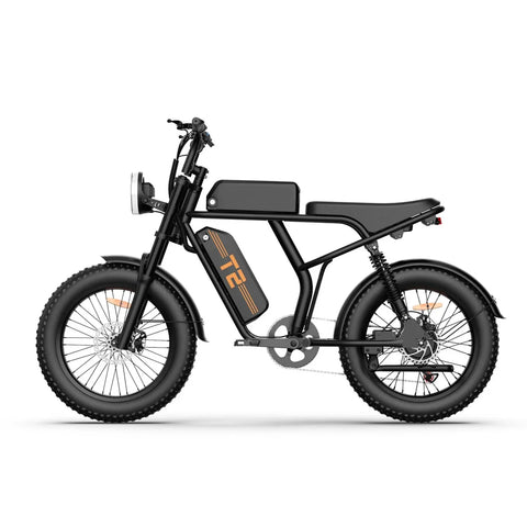 URLIFE T2 Elektrisches Fahrrad - Motor250W Batterie 48V 15.6Ah mit Scheibenbremse Trittunterstützung - Schwarz