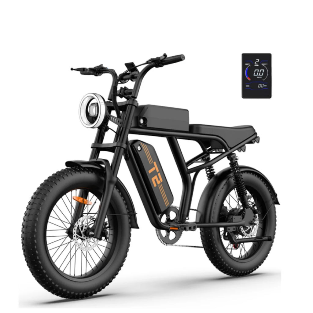 Vélo électrique URLIFE T2 - Moteur 250W Batterie 48V 15.6Ah avec Frein à Disque Assistance au Pédalage - Noir