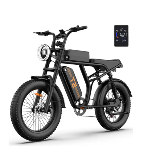 URLIFE T2 Elektrisches Fahrrad - Motor250W Batterie 48V 15.6Ah mit Scheibenbremse Trittunterstützung - Schwarz