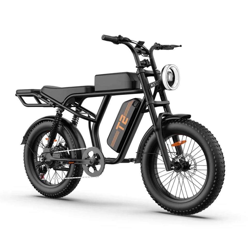 Vélo électrique URLIFE T2 - Moteur 250W Batterie 48V 15.6Ah avec Frein à Disque Assistance au Pédalage - Noir