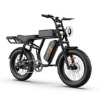 Vélo électrique URLIFE T2 - Moteur 250W Batterie 48V 15.6Ah avec Frein à Disque Assistance au Pédalage - Noir