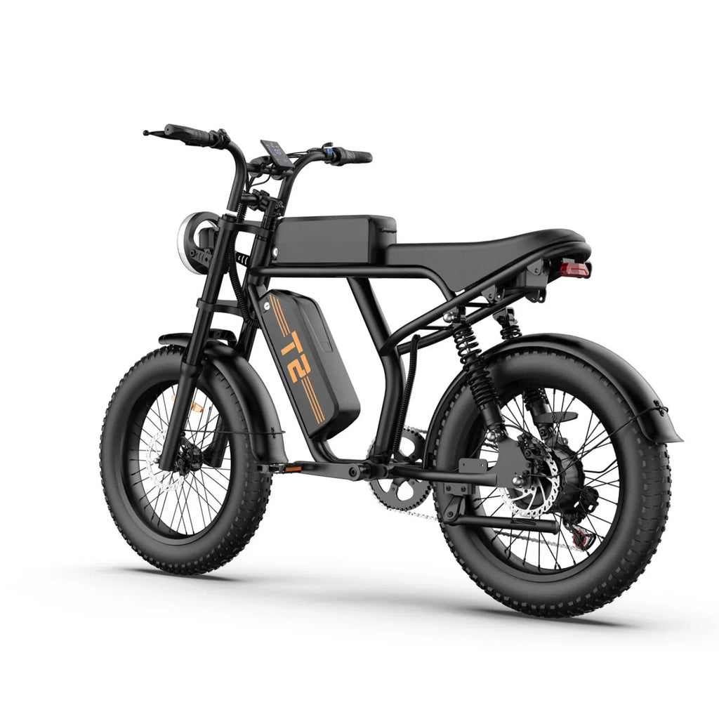 Vélo électrique URLIFE T2 - Moteur 250W Batterie 48V 15.6Ah avec Frein à Disque Assistance au Pédalage - Noir